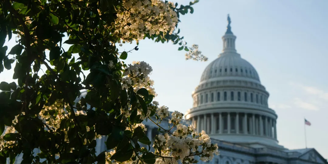 capitol building in washington dc