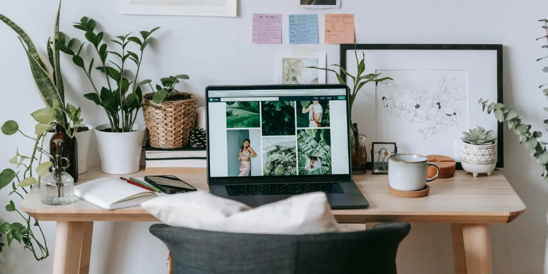 computer on a desk with plants