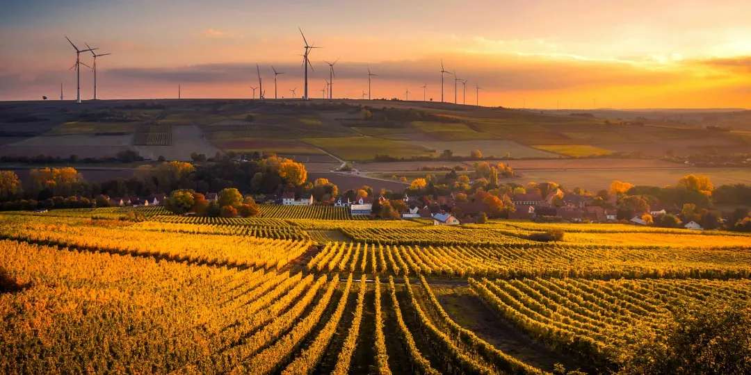 countryside with wind turbines during sunset