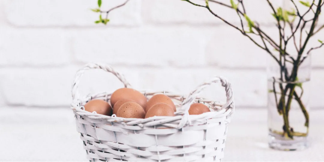 eggs in basket with plant