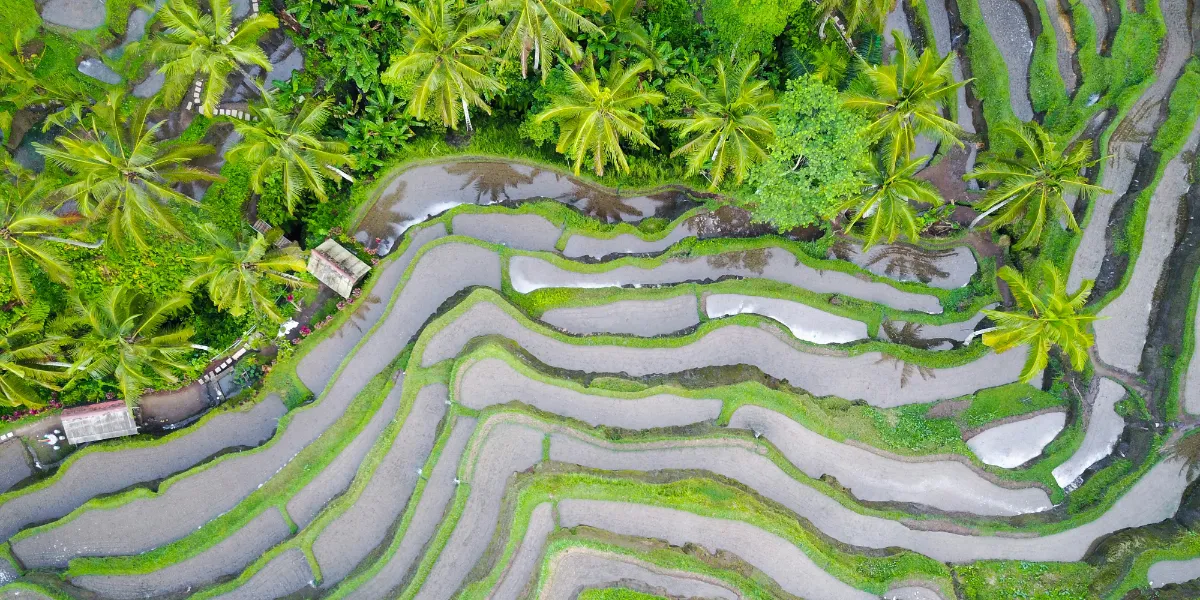 indonesian water terrace