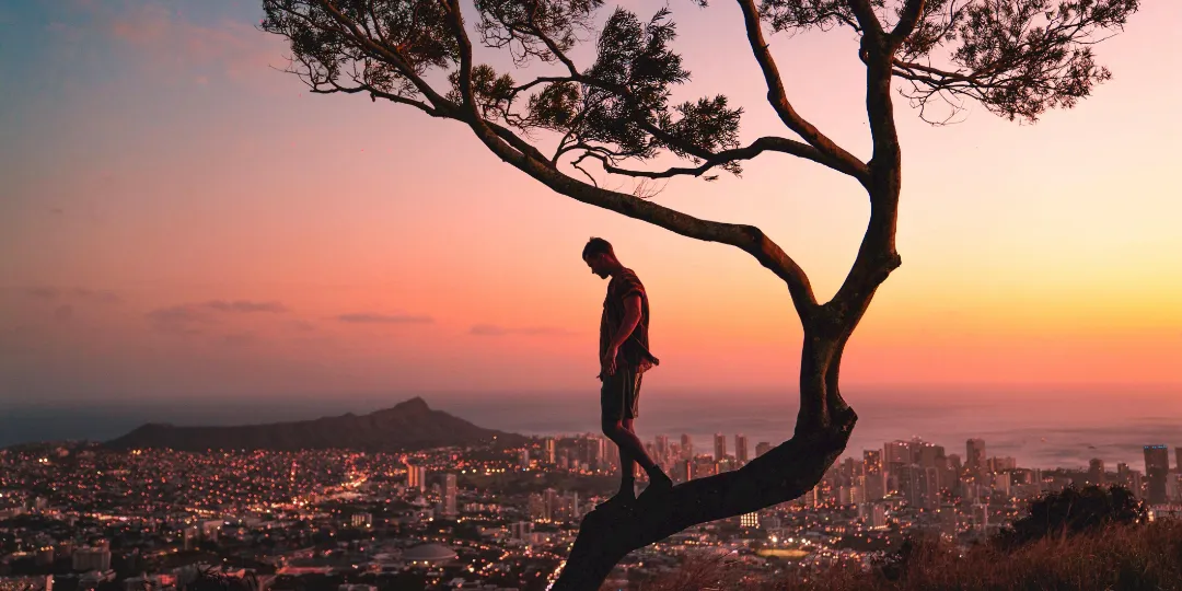 man standing on tree overlooking the city during sunset