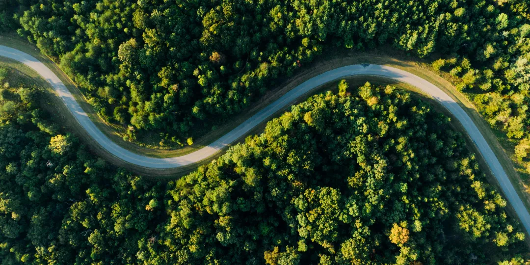 meandering road through the woods