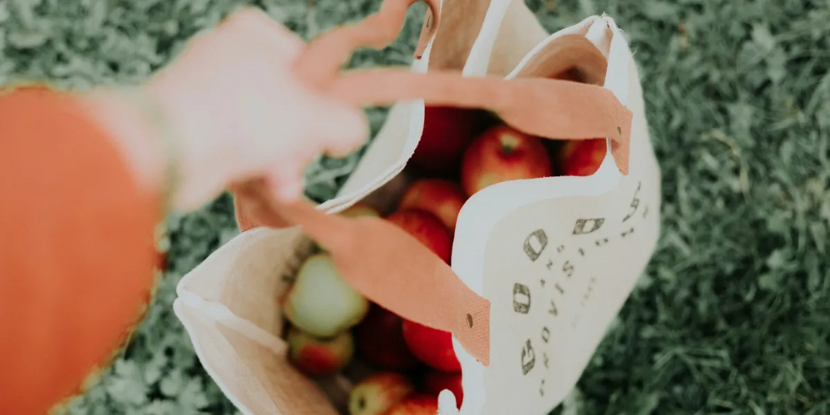 person holding a shopping bag with apples