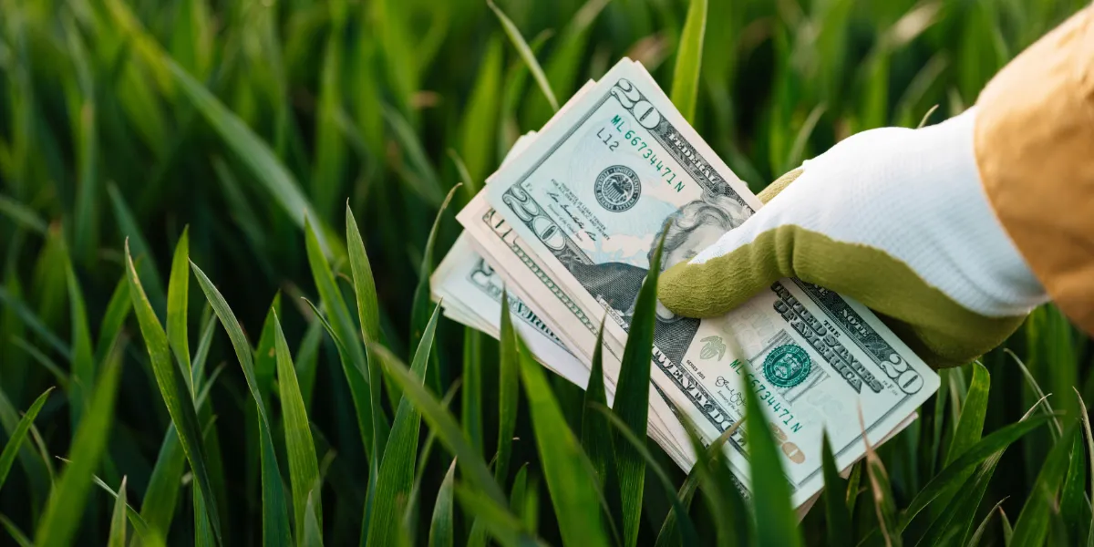 person picking up money out of the grass