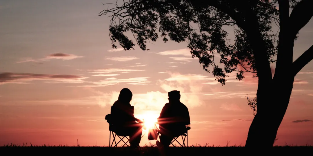 two people sitting on chairs underneath tree watching the sunset