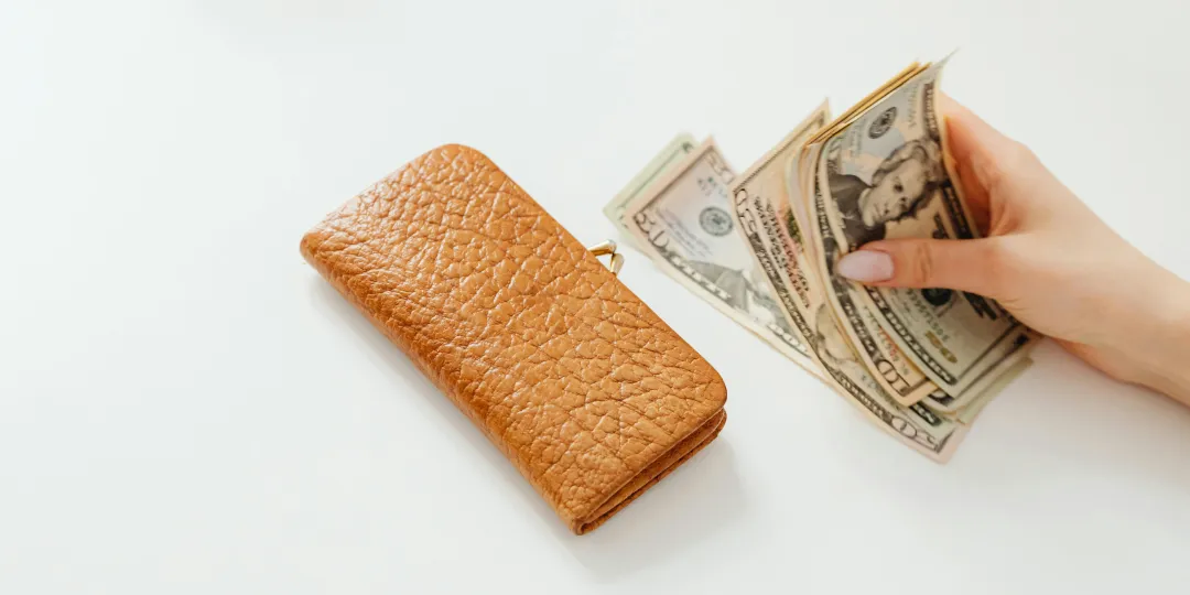 wallet with person holding money