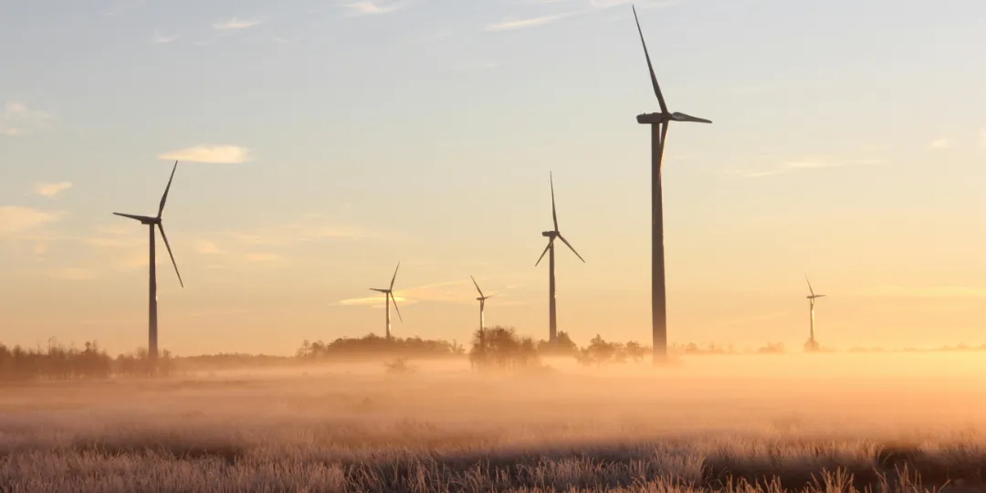 wind turbine park during morning fog